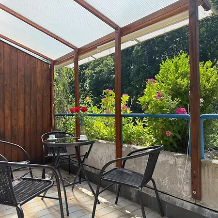 Grüne Oase Im Zentrum Mit Dachterrasse, Wlan, Lift Apartment *