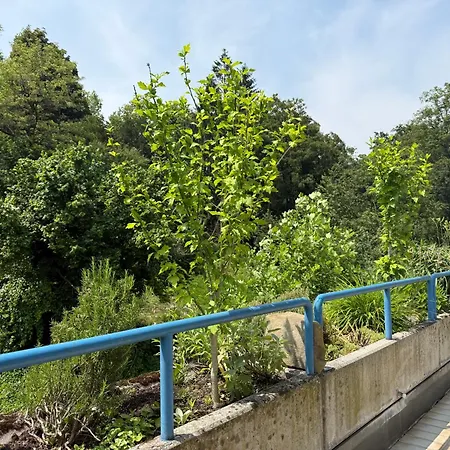Grüne Oase Im Zentrum Mit Dachterrasse, Wlan, Lift